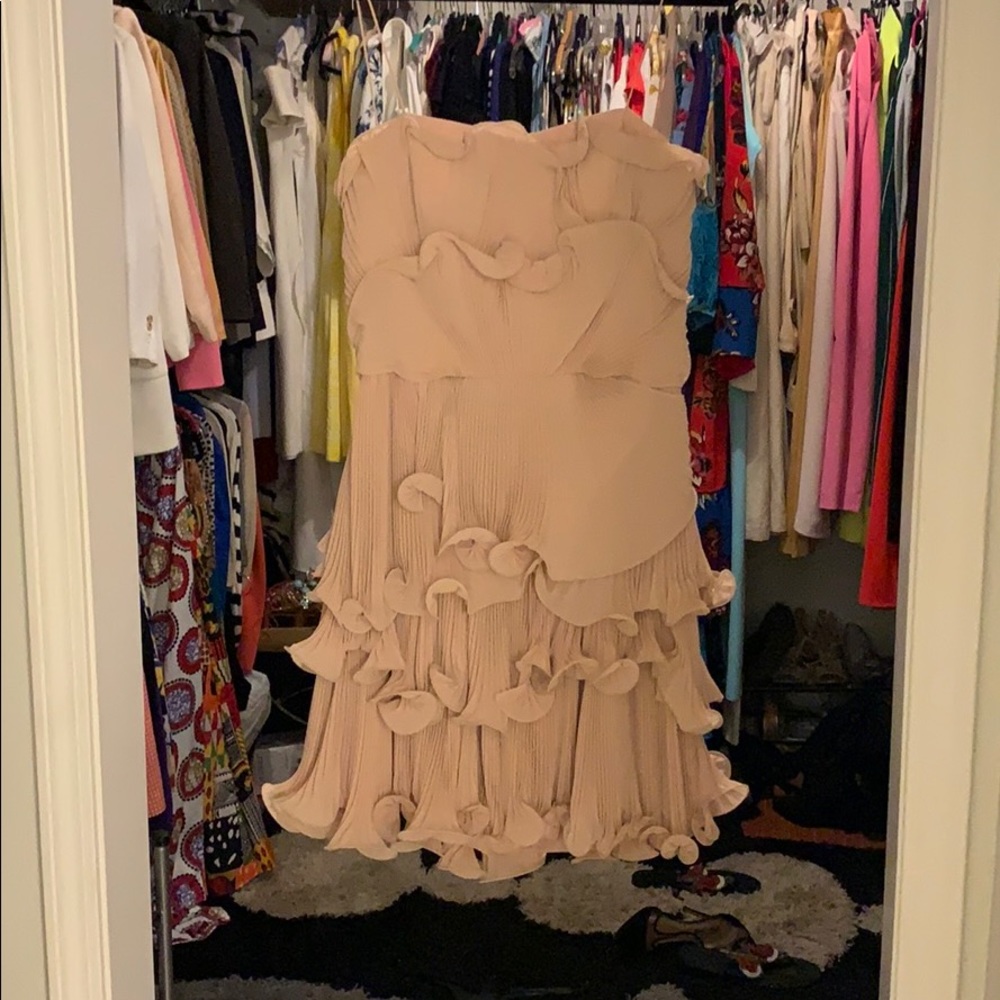 Rose dress